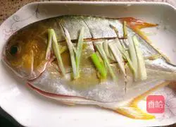 Illustration of braised golden pomfret 3