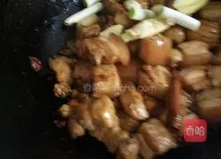 Illustration of how to make braised pork 4