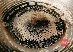 Illustration of how to make fried leeks and shrimps 6