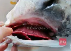 Illustration of how to make spicy fish head 3