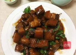 Illustration of Braised Pork Recipes 10