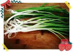 Illustration of how to make scallion and pork dumplings 1