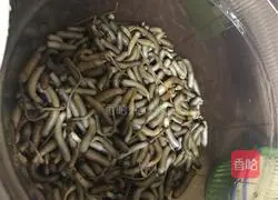 How to make stir-fried radish and diced puree Illustration 1