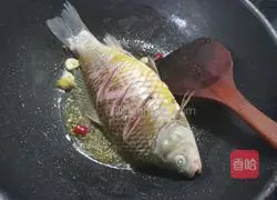 Illustration of Braised Crucian Carp 2