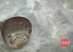 Casserole crucian carp soup recipe 10