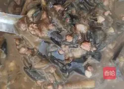 Illustration of how to make minced meat and eggplant rice bowl 20