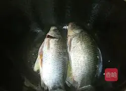 Illustration of braised crucian carp in sauce 2