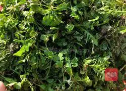 Shepherd's purse (wild vegetables) spring rolls Illustration of how to do it 1