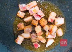 Illustration of Braised Pork Recipes 4