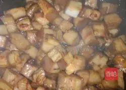 Illustration of home braised pork recipe 5