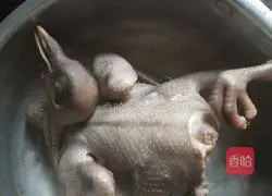 Roast squab recipe 1