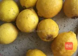 Lemon Chicken Feet Evolutionary Version Illustration 3