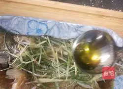 Illustration of steamed sea bass 20