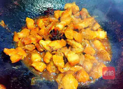 Illustration of home-cooked braised pork 10