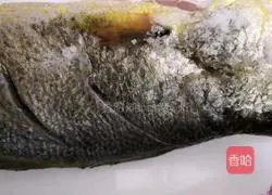 Illustration of unusual steamed fish recipes 3
