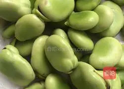 Illustration of steaming broad beans 2