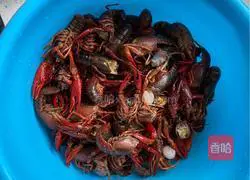 Illustration of how to make spicy crayfish 2