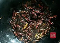 Illustration of how to make high-protein crispy fried grasshoppers 4