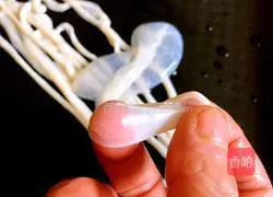 Illustration of homemade sausage 10