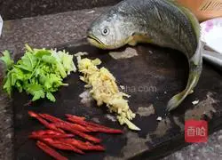 Illustration of unusual steamed fish recipes 2