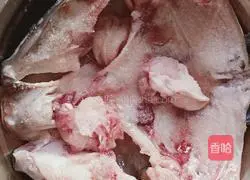 Illustration of how to make Marian fish head hot pot 1