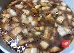 Braised Pork Recipe Illustration 5