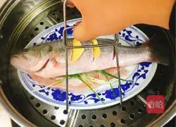 Illustration of steamed sea bass 4