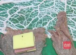 Cheese, ham and pork chop recipe illustration 1