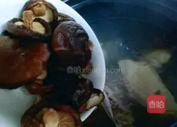 Illustration of how to make braised chicken with mushrooms 7