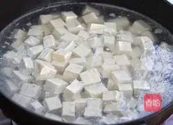 Illustration of how to cook minced pork and tofu in sauce 3