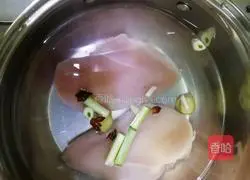 Illustration of shredded chicken 2