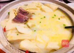 Illustration of Wenzheng Mountain Bamboo Shoots 3