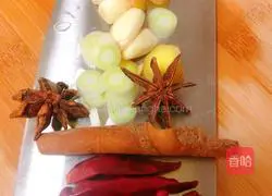 Illustration of Homemade Pork Ribs Stewed with Potatoes 7