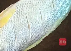 Illustration of steamed yellow croaker 5