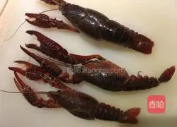 Illustration of how to make crayfish 1