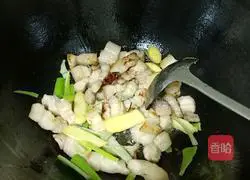 Illustration of Braised Pork and Potatoes 5