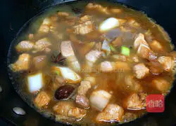 Illustration of home-cooked braised pork 8