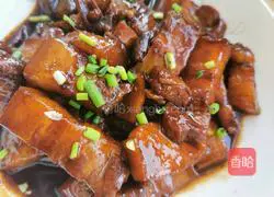 Illustration of home-cooked braised pork 8