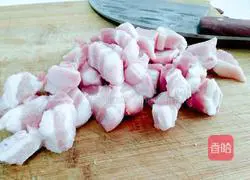 Illustration of home-cooked braised pork 1