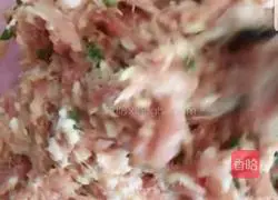 Illustration of how to make steamed pork with winter melon 2