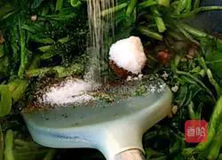 Illustration of how to make spinach with gluten 5