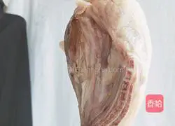 Illustration of homemade roast duck legs 5