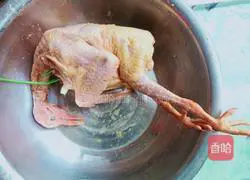 Illustration of salt-baked pigeons 1