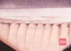 Playing with the Dragon and Playing with the Phoenix丨The New Year is auspicious, and the dragons and phoenixes are dancing and enjoying the tip of the tongue.Illustration 1