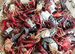 Illustration of how to make strange-tasting finger-sucking crayfish 1