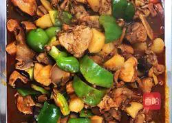 Illustration of home-cooked large plate chicken 15