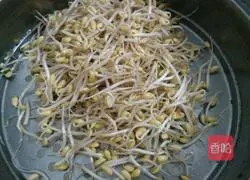 Illustration of how to stir-fry bean sprouts with colored peppers 1