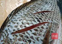 # Steamed Vegetables # Steamed Tilapia Recipe Illustration 5