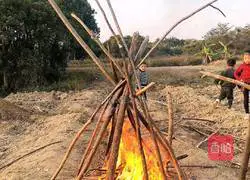 Illustration of how to cook chicken in a farmhouse 2