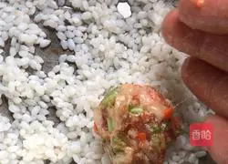 (Steamed Vegetable) Pearl Meatballs Illustration 9 